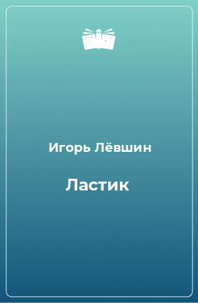 Книга Ластик