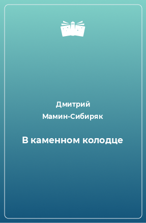 Книга В каменном колодце