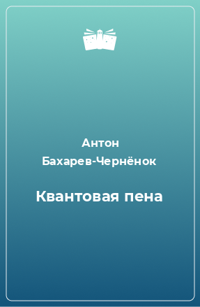 Книга Квантовая пена