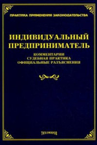 Книга Индивидуальный предприниматель