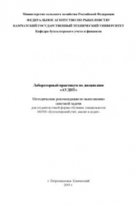 Книга Лабораторный практикум по дисциплине ''Аудит'': Методические рекомендации по выполнению сквозной задачи