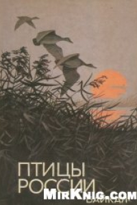 Книга Птицы России. Байкал.