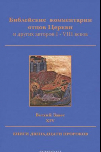 Книга Библейские комментарии отцов Церкви и других авторов I-VIII веков. Ветхий Завет. Том 14. Книги двенадцати пророков