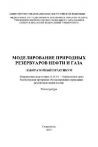 Книга Моделирование природных резервуаров нефти и газа : лабораторный практикум. Направление подготовки 21.04.01 – Нефтегазовое дело. Магистерская программа «Моделирование природных резервуаров нефти и газа». Магистратура