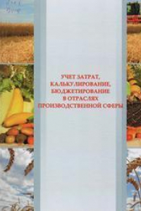 Книга Учет затрат, калькулирование и бюджетирование в отраслях производственной сферы