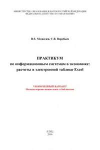 Книга Практикум по информационным системам в экономике: расчеты в электронной таблице Excel (укороченный вариант)