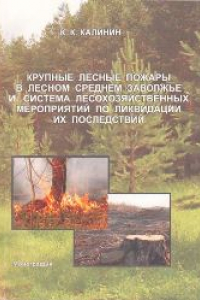 Книга Крупные лесные пожары в лесном Среднем Заволжье и система лесохозяйственных мероприятий по ликвидации их последствий: монография