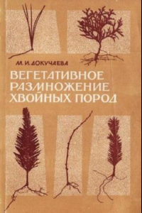 Книга Вегетативное размножение хвойных пород