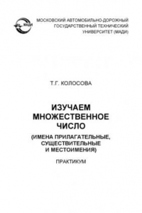 Книга Изучаем множественное число (имена прилагательные, существительные и местоимения): практикум.