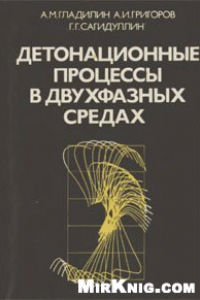 Книга Детонационные процессы в двухфазных средах