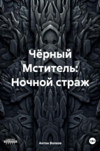 Книга Чёрный Мститель: Ночной страж