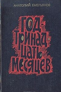 Книга Год - тринадцать месяцев