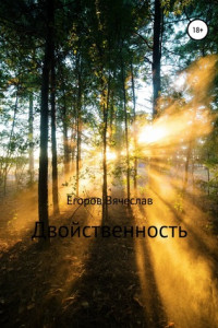 Книга Двойственность