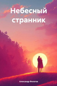 Книга Небесный странник