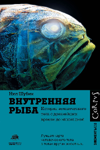 Книга Внутренняя рыба. История человеческого тела с древнейших времён до наших дней