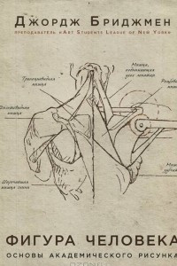 Книга Фигура человека. Основы академического рисунка