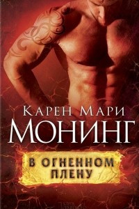 Книга В огненном плену