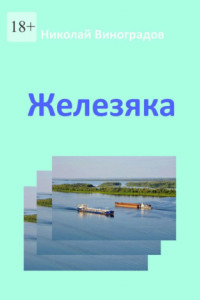 Книга Железяка