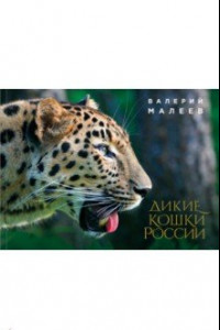 Книга Дикие кошки России: иллюстрированный авторский фотоальбом