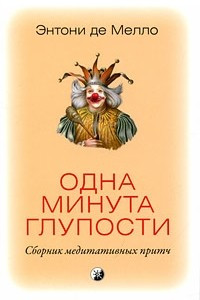 Книга Одна минута глупости