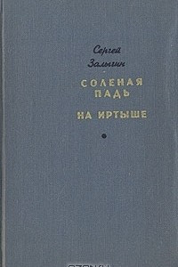 Книга Соленая падь. На Иртыше