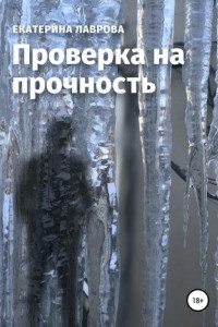 Книга Проверка на прочность