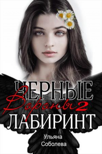 Книга Черные вороны 2. Лабиринт