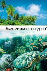 Книга Была ли жизнь создана?