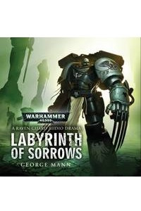 Книга Labyrinth of Sorrows