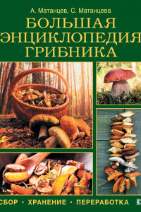 Книга Большая энциклопедия грибника: сбор, хранение, переработка