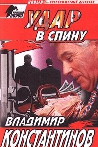 Книга Удар в спину