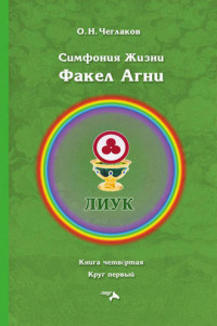 Книга Симфония жизни. Факел Агни. Книга четвертая. Круг первый