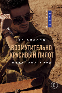 Книга Возмутительно красивый пилот