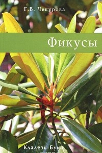 Книга Фикусы