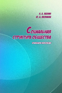 Книга Социальная структура общества