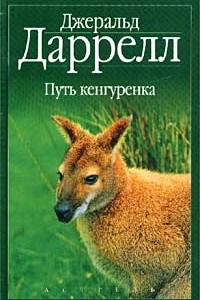 Книга По всему свету. Путь кенгуренка