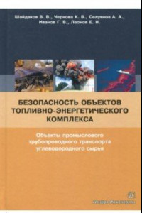 Книга Безопасность объектов топливно-энергетического комплекса. Учебное пособие