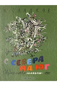 Книга С Севера на Юг