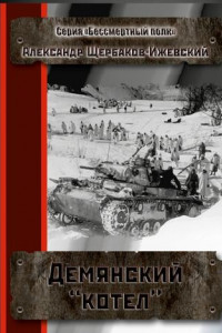 Книга Демянский «котёл». Серия «Бессмертный полк»