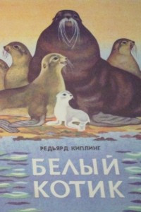 Книга Белый котик