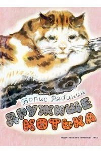 Книга Дружище Котька