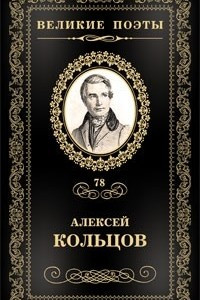 Книга Великие поэты. Том 78. Перепутье