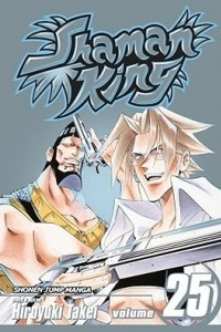 Книга Shaman King, Vol. 25: Cornerstone