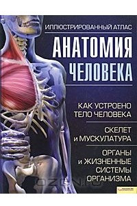 Книга Анатомия человека. Иллюстрированный атлас