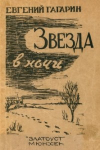 Книга Звезда в ночи