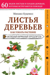 Книга Листья деревьев. Как узнать растение