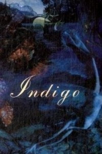 Книга Indigo