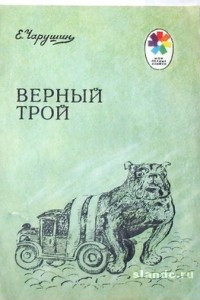 Книга Верный Трой