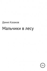 Книга Мальчики заблудились