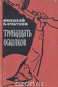 Книга Тринадцать осколков